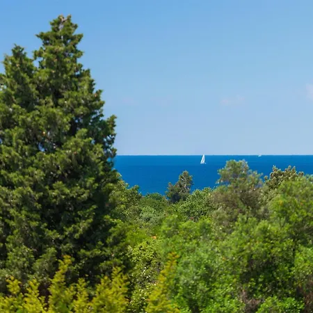 Lippa Peroj 1 Πούλα